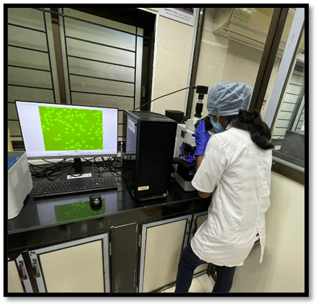 Fluorescent Microscope